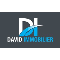 David Immobilier logo - Similar company to L'Agence 33