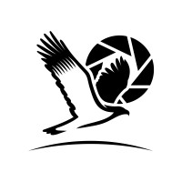 Eagle River Productions logo - Similar company to Sieve Studio
