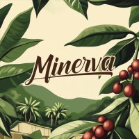 Café Minerva Ecuador logo - Similar company to Konexion