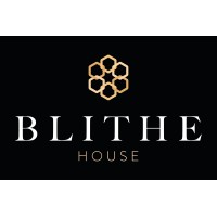 Blithe House Financial Management Ltd logo - Similar company to Brooks Sport (Formerly Lift-Sport)