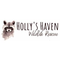 Holly's Haven Wildlife Rescue logo - Similar company to Blowout Technologies