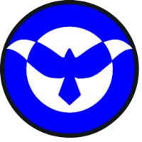 SKYBIRDSVIEW logo - Similar company to Hone