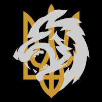 British Expeditionary Aid & Rescue logo - Similar company to Lyre Systems