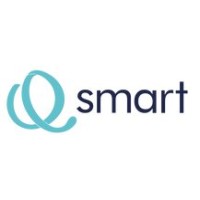 Qsmart logo - Similar company to Qmsmart Technologies