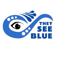 They See Blue logo - Similar company to Zone 126