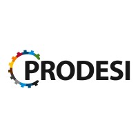 Programa PRODESI logo - Similar company to Tudo Digital, Lda