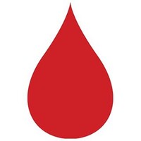 The Leukemia & Lymphoma Society - Wisconsin Chapter logo - Similar company to The Leukemia & Lymphoma Society - Nyc