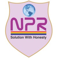 NPR SOLUTIONS PVT. LTD. (India) logo - Similar company to Burfee Solutions