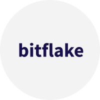 Bitflake logo - Similar company to Hack4Ai