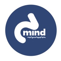 Digimind Education logo - Similar company to Nitibasa