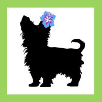 Beach Pup Grooming Spa logo - Similar company to Zyphersoft Enterprises, Spa.