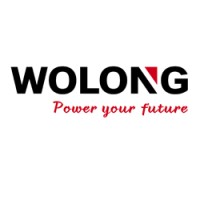 Wolong Electric America logo - Similar company to Azurity