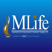 Madison Life Insurance Company Zambia Limited - MLife logo - Similar company to Vaima Talent Management Centre