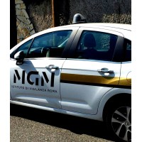 MGM SECURITY srl. logo - Similar company to Investigation Security Group. Srl