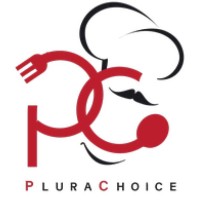 Plura Choice Web Services Inc logo - Similar company to Nrit Consulting