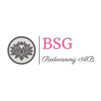 BSG Redovisning AB logo - Similar company to Solidux Consulting