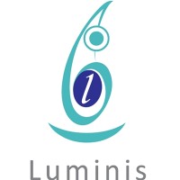 Luminis Consulting Services Pvt Ltd, IN logo - Similar company to Vyomsecure