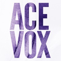Acevox logo - Similar company to Sudotouch