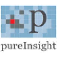 pureInsight logo - Similar company to Pureinsights Technology