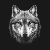 Wild Animals logo - Similar company to Miremby
