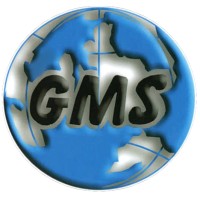 Global Medical Surgery Equipment and Pharma logo - Similar company to Help Doctor