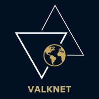Valknet logo - Similar company to Igdoc