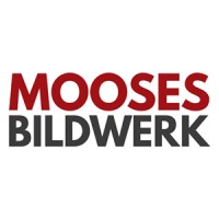 MoosesBildwerk logo - Similar company to Gorfi Sa