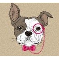 One Hot Dog Designs logo - Similar company to El Hot Dog