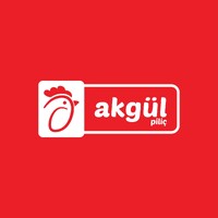 Akgül Piliç logo - Similar company to İntitechtr