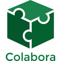 Colabora Global logo - Similar company to Microsoft User Group Perú