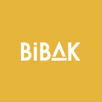 Bibak Kids logo - Similar company to Digitalseed