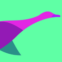 Square Goose logo - Similar company to Future Founders