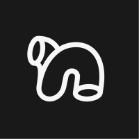 Noodle logo - Similar company to Clim Studio