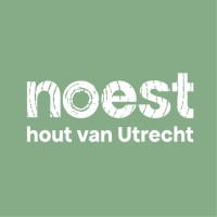 Noest logo - Similar company to Studio Bayu