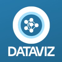 Dataviz Solutions logo - Similar company to Dataviz Ia