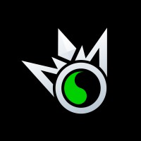 WinningOS logo - Similar company to Expressive Wealth