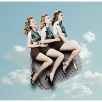 Betty'S Birds