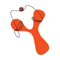 APDIP - Associação Portuguesa de Doentes com Imunodeficiências Primárias logo - Similar company to Ponte - Your Hub For A Better Future