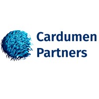 Cardumen Partners logo - Similar company to Stoveguard