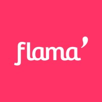 Flama logo - Similar company to Pdvend