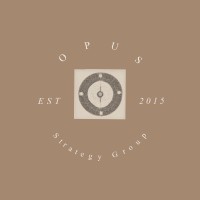 Opus Strategy Group