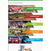 T&V Consulting and Engineering logo - Similar company to Terrarq.Studio