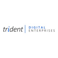 Trident Digital Enterprises (Pty) Ltd logo - Similar company to Mpower Max