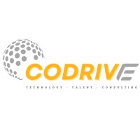 CoDrive ConsultingPro logo - Similar company to Blumoon
