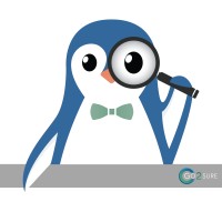 Go2Sure B.V. logo - Similar company to Windex Engineering B.V.