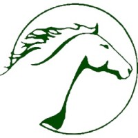 Workhorse Software Services, Inc. logo - Similar company to Dmt Software Services Llc