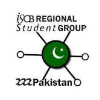 RSG Pakistan logo - Similar company to Microinformatics