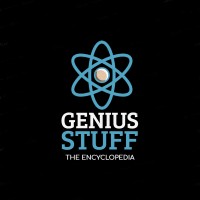 Genius Stuff logo - Similar company to Gamic Solutions Inc
