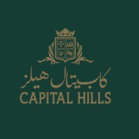 CAPITAL HILLS LOANS & OVERDUES RESCHEDULING SERVICES logo - Similar company to Capital Hills Loans & Overdues Rescheduling Services