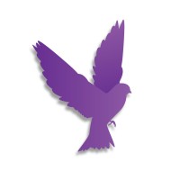 Purple Bird Media logo - Similar company to Purple Bird Technology Deutschland